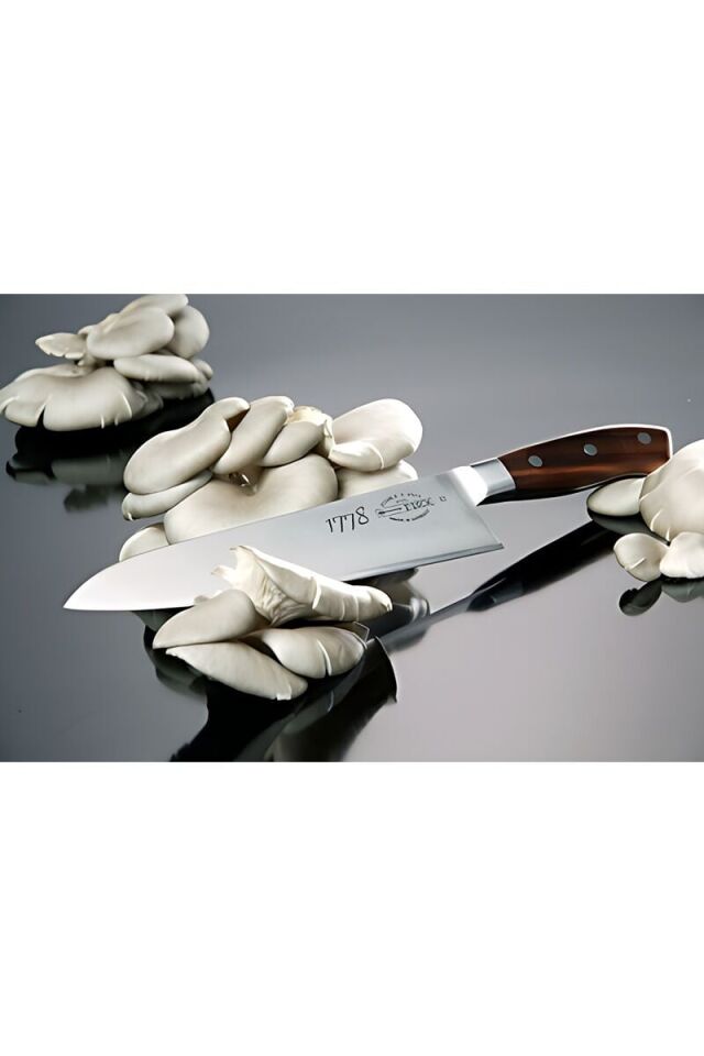 1778 Serisi Santoku Şef Bıçağı 17 cm